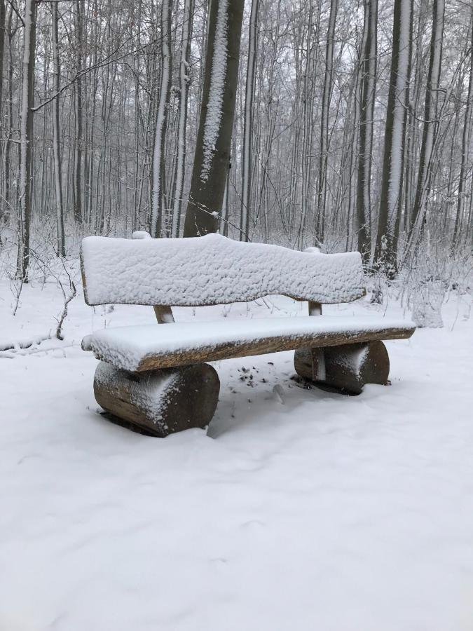 Ferienwohnung Morgensonne Am Kurpark Bad Berka - Parkplatz - Spielplatz - Wlan - 2 Schlafzimmer Buitenkant foto